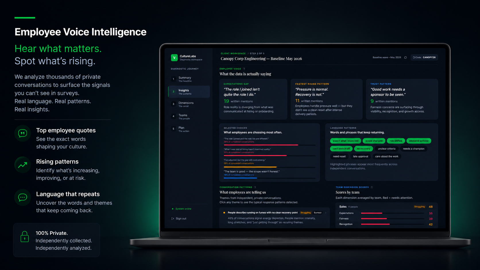 Employee voice intelligence dashboard showing language patterns